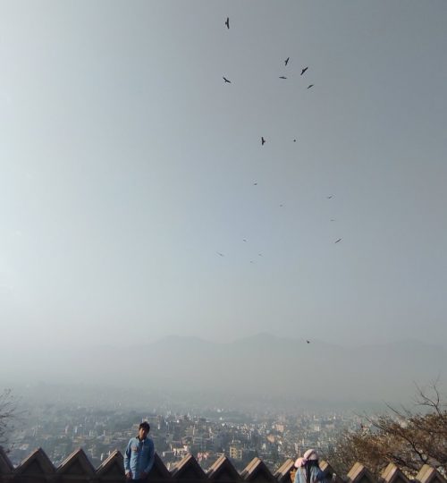 0-02-03-1b142c8e527eb1cb8e4056d1a3f12090e1c1a134f06debe152ec237b1192e6a5_84c4b29b